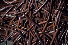 Agriculture;-Archipel-des-Comores;-Épice;-France;-Gousses;-Gros-plan;-Kaleidos;-Kaleidos-images;-La-parole-à-limage;-Laurent-Abad;-Mayotte;-Océan-Indien;-Produit;-Stories-Pictures;-Vanille